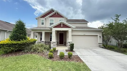 WESLEY CHAPEL FL Home