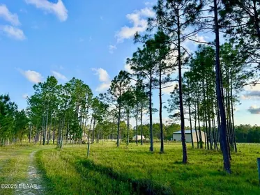 ORMOND BEACH FL Property