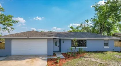 APOPKA FL Home