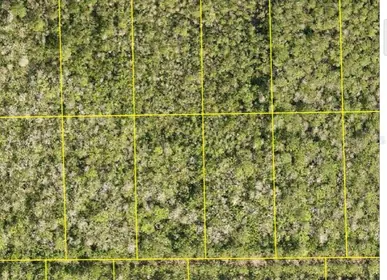 DELAND FL Property