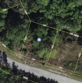 KISSIMMEE FL Property