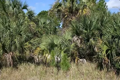 PALM BAY FL Property