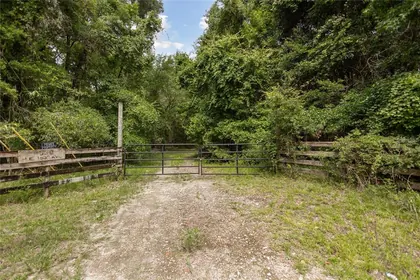 WILLISTON FL Property