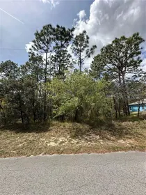 HOMOSASSA FL Property