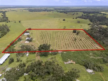 MYAKKA CITY FL Property