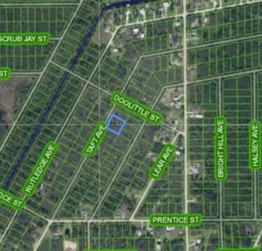LAKE PLACID FL Property