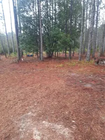 STEINHATCHEE FL Property