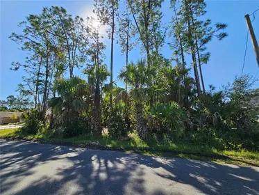 PALM COAST FL Property