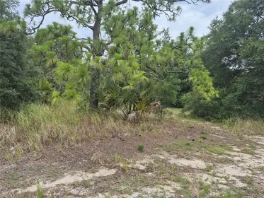 SUMTERVILLE FL Property