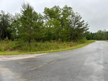 OCKLAWAHA FL Property