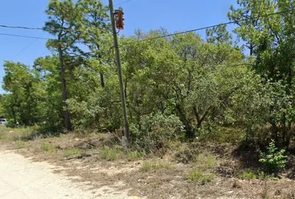 HOMOSASSA FL Property