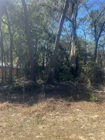 UMATILLA FL Property