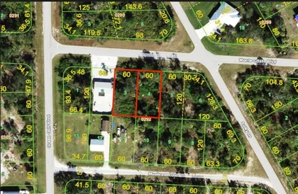 PUNTA GORDA FL Property