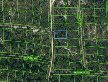 LAKE PLACID FL Property