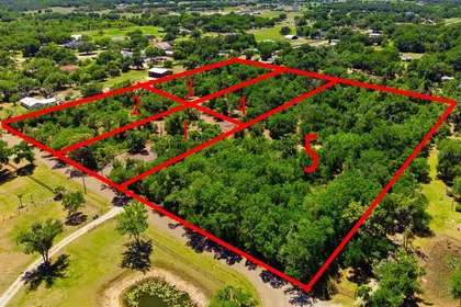 LITHIA FL Property
