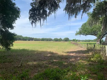 WEBSTER FL Property