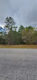 POINCIANA FL Property