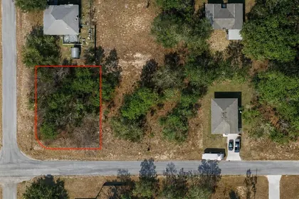 CITRUS SPRINGS FL Property