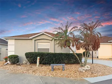 THE VILLAGES FL Home