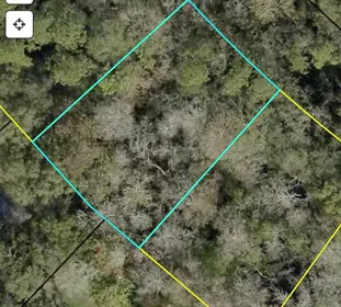 PALM COAST FL Property