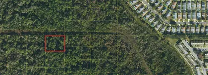 KISSIMMEE FL Property