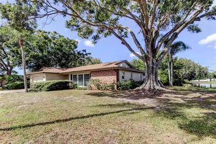 CLEARWATER FL Home