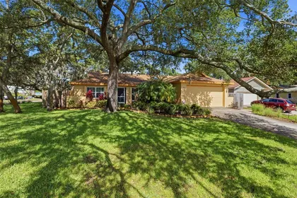 SAFETY HARBOR FL Home
