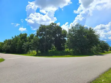 PUNTA GORDA FL Property