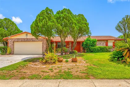 SEFFNER FL Home