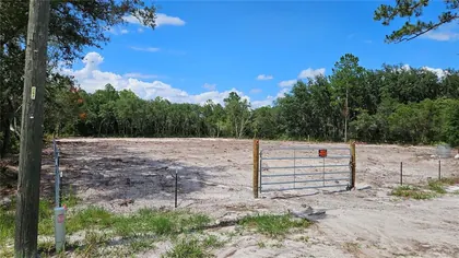 WEBSTER FL Property