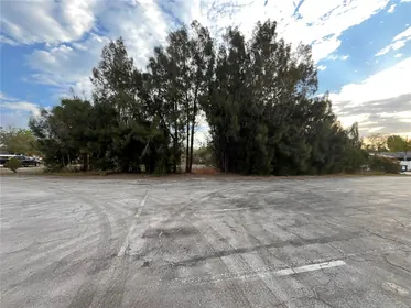 MOUNT DORA FL Property
