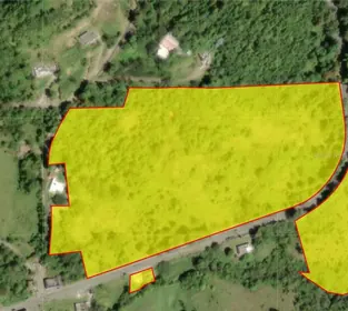 CAROLINA PR Property
