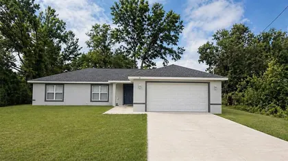 OCKLAWAHA FL Home