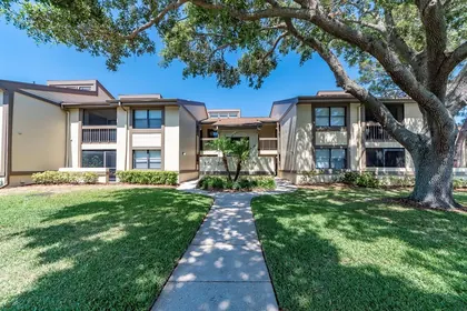 OLDSMAR FL Home