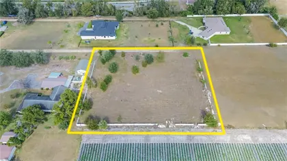 DOVER FL Property