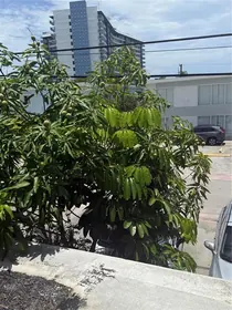 MIAMI BEACH FL Home
