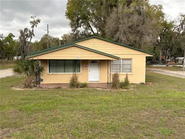 LAKE PANASOFFKEE FL Property