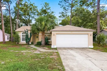 SPRING HILL FL Home