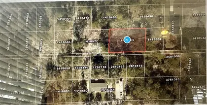 MOUNT DORA FL Property