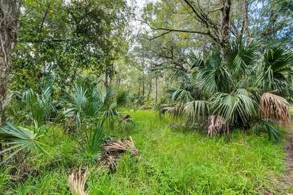 THONOTOSASSA FL Property