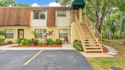 MULBERRY FL Home
