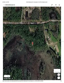 GROVELAND FL Property