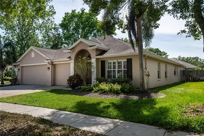 TAMPA FL Home