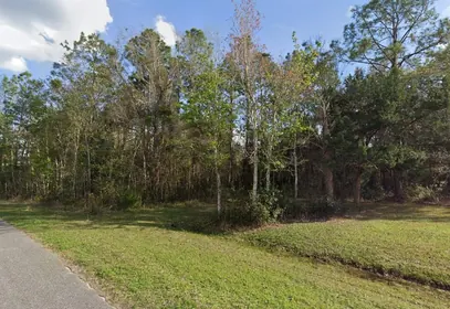PALATKA FL Property