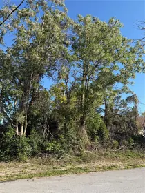 SPRING HILL FL Property