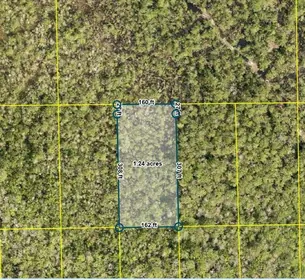 DELAND FL Property