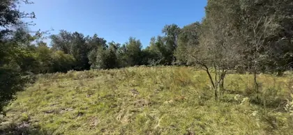 INVERNESS FL Property