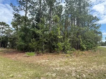 DUNNELLON FL Property