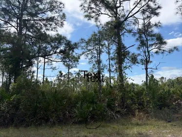 PUNTA GORDA FL Property