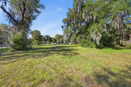 LADY LAKE FL Property
